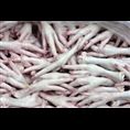 文登市埠口正昇冷藏廠 羊肉與水產品的現(xiàn)代化冷凍加工之路