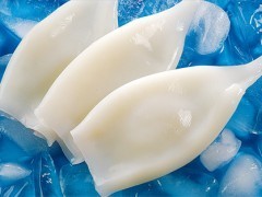 凍魷魚系列產品 水產品冷凍加工領域的優(yōu)質選擇
