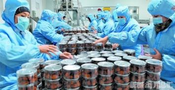 新疆農產品購銷“兩張網”形成框架，油料及農副產品收購提質增效